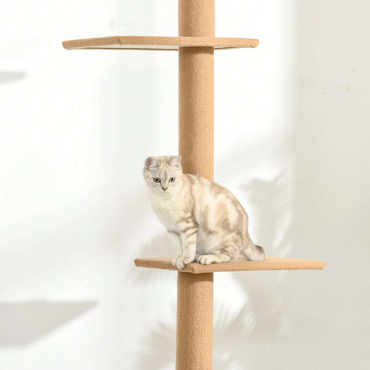 easycomfort albero tiragraffi per gatti a 4 livelli fissaggio a soffitto regolabile 43x27x228 260cm