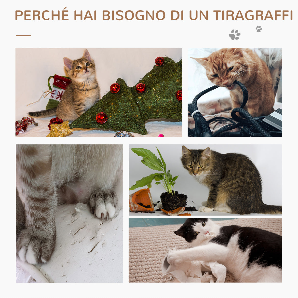 easycomfort easycomfort albero tiragraffi per gatti adulti e gattini da 95cm cuccia e casetta per gatti in rattan e pali in sisal