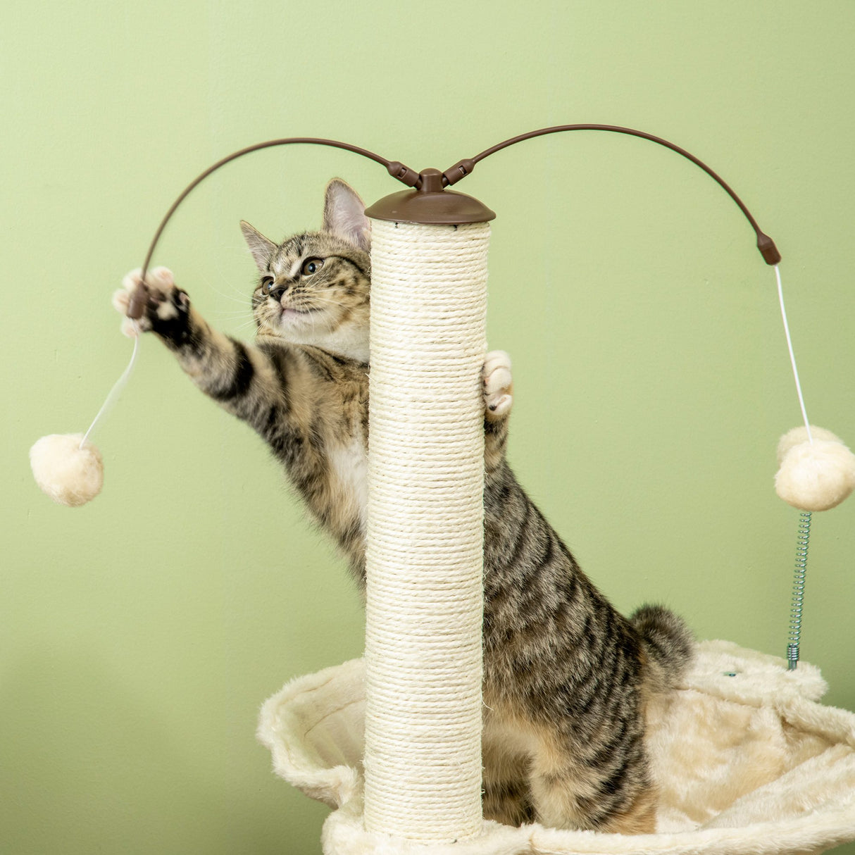 easycomfort albero tiragraffi per gatti max 5kg con amaca palline da gioco e pali in sisal 53.5x53.5x90 cm beige