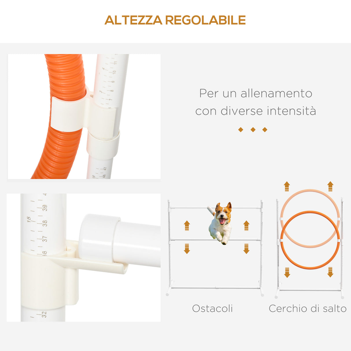 easycomfort easycomfort set agility dog 7 pezzi con fischietto e borsa da trasporto in plastica e abs 89x69x99 cm bianco arancione blu