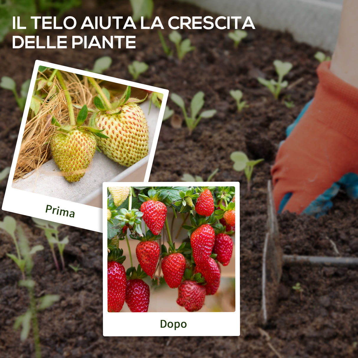 easycomfort easycomfort telo per pacciamatura 2x25 m per orto serra e giardino drenante e traspirante nero