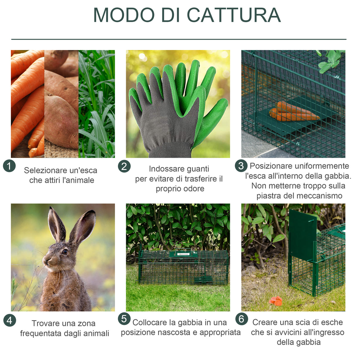immagine-5-easycomfort-easycomfort-gabbia-trappola-per-animali-vivi-con-porta-singola-60x18x20cm-verde