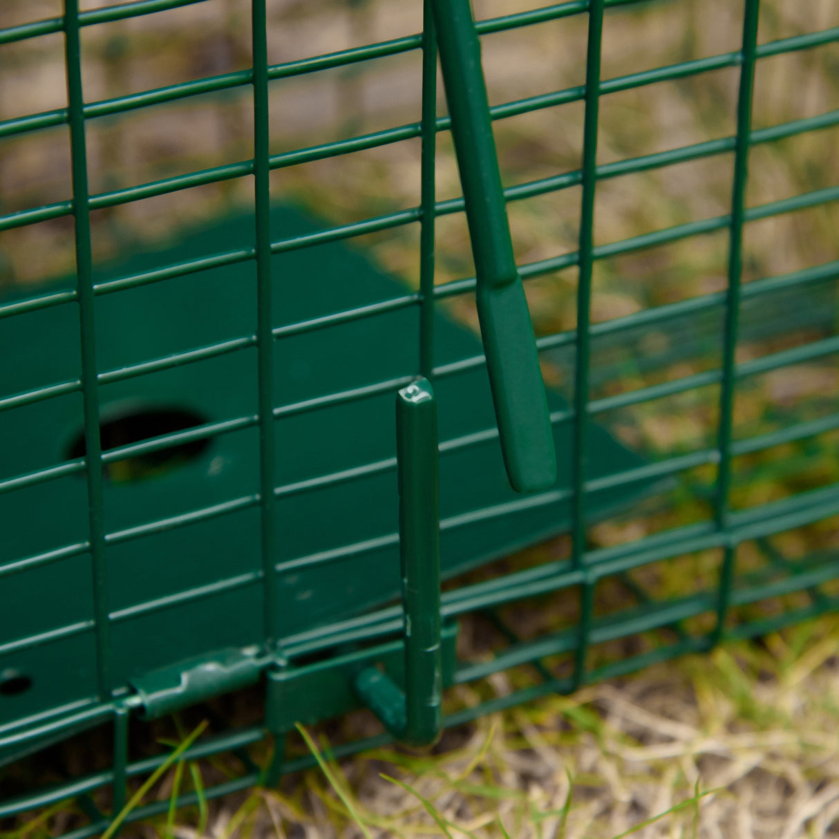 immagine-9-easycomfort-easycomfort-gabbia-trappola-per-animali-vivi-con-porta-singola-60x18x20cm-verde