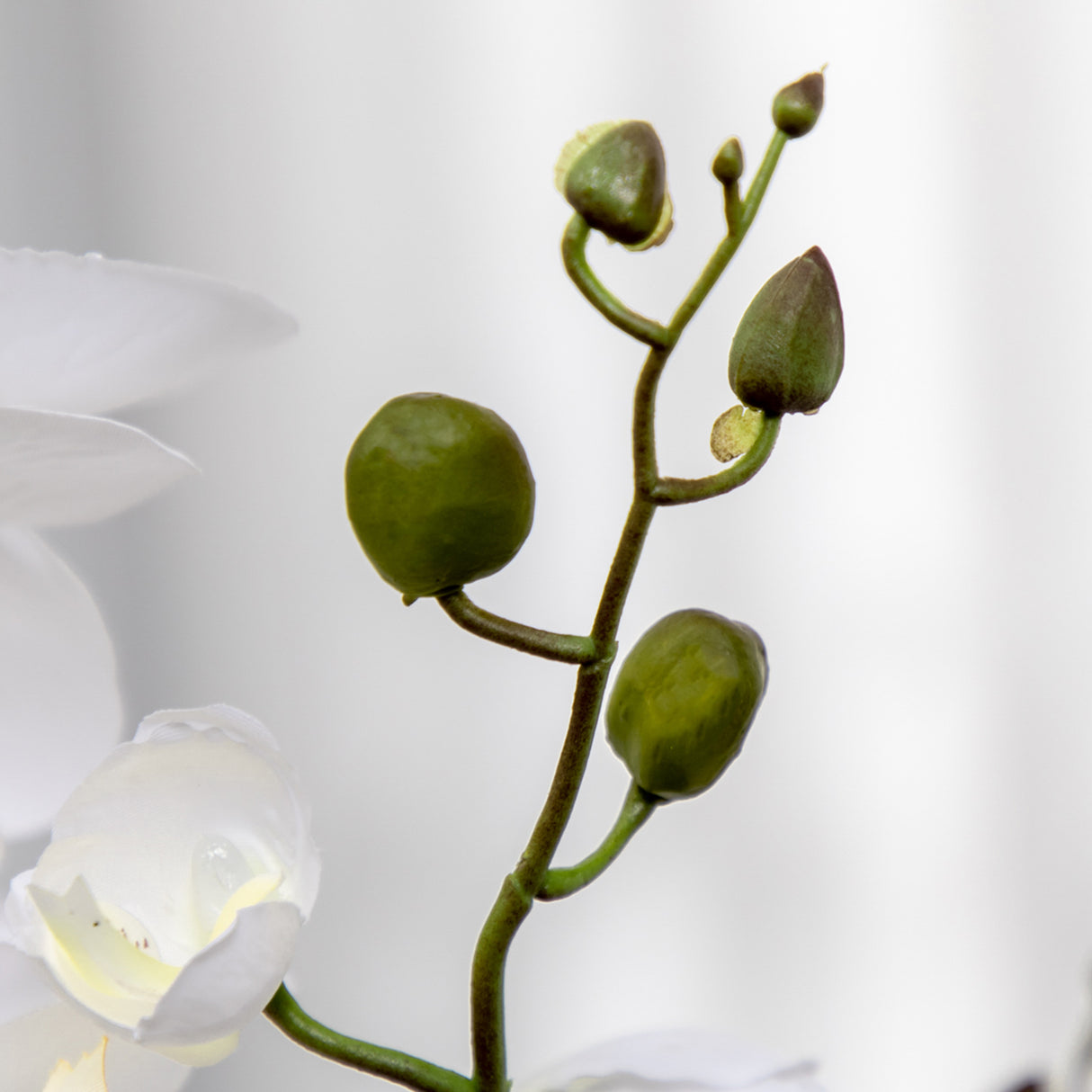 immagine-9-easycomfort-easycomfort-orchidea-finta-in-vaso-alta-75cm-per-interno-ed-esterno-bianco