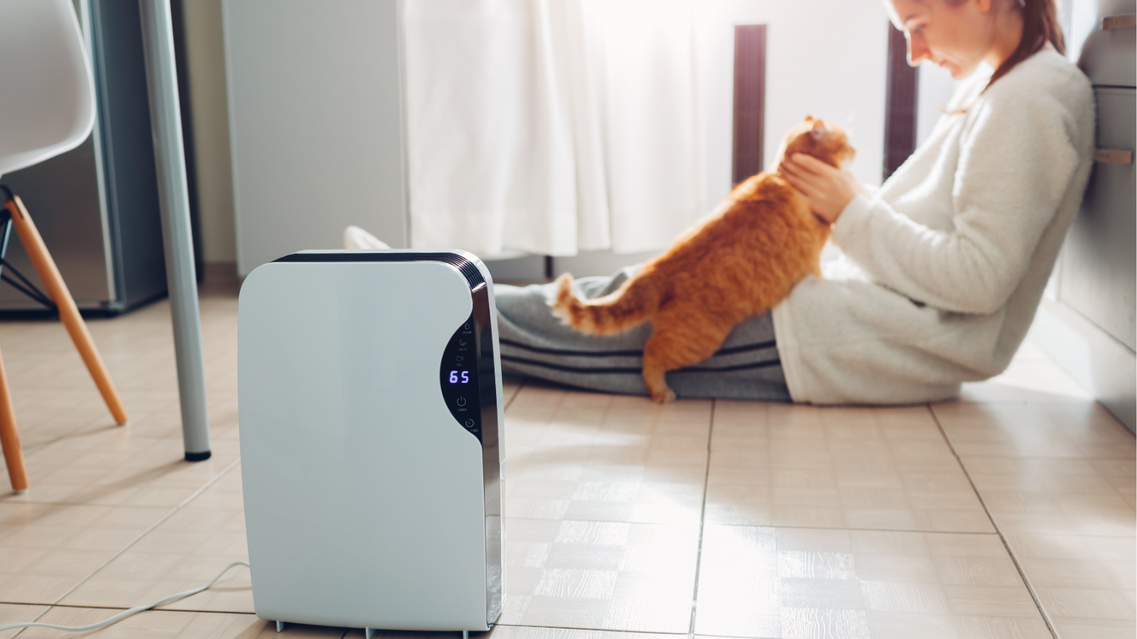 Come scegliere il deumidificatore ideale per la tua casa