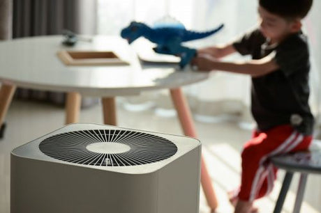 Purificatori d'aria in casa: funzionano davvero?