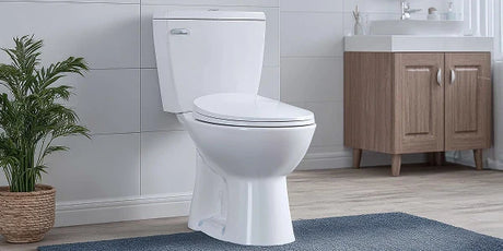 WC con Trituratori