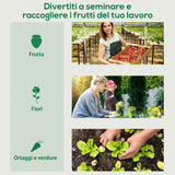 easycomfort serra da giardino in pe e acciaio con 4 picchetti 2 finestre e copertura rinforzata 200x77x148 169cm
