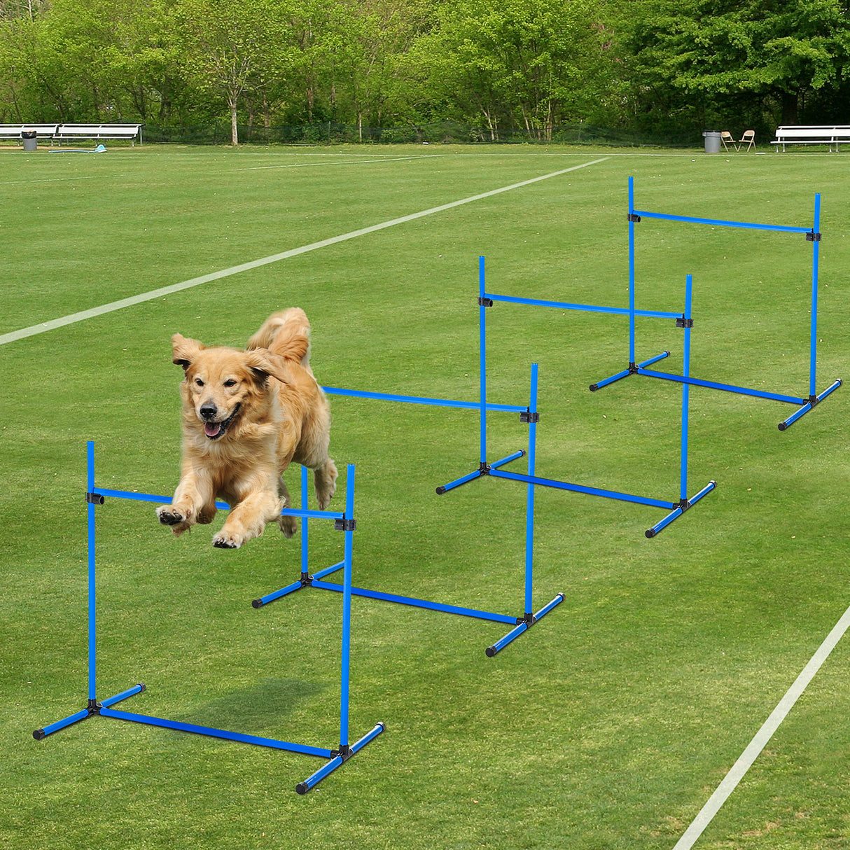 easycomfort set di 4 ostacoli agility dog per addestramento cani ad altezza regolabile con borsa da trasporto inclusa 99x65x94cm blu