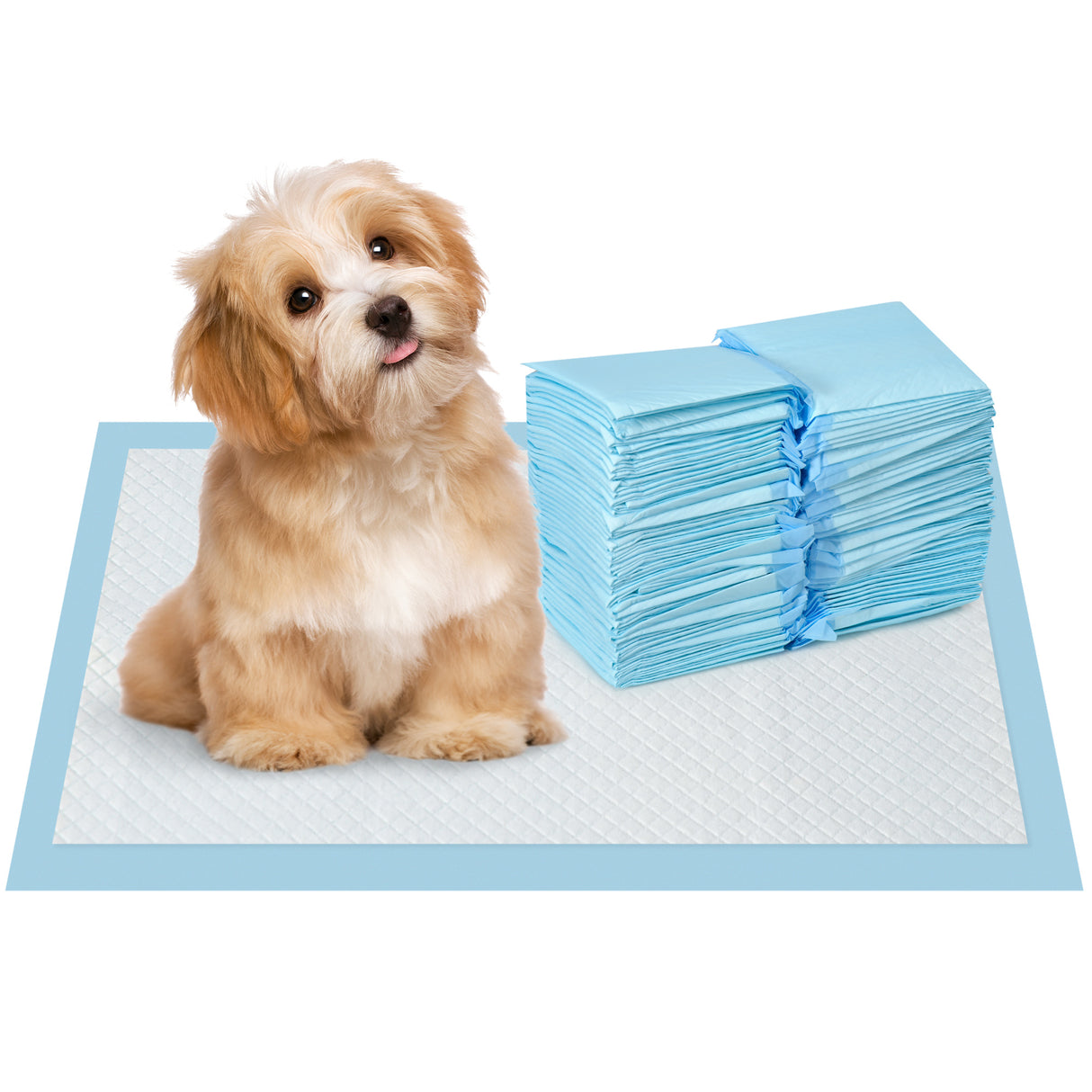 easycomfort easycomfort set 100 tappetini igienici per cani a 6 strati in tessuto non tessuto carta e pe 45x30 cm blu e bianco