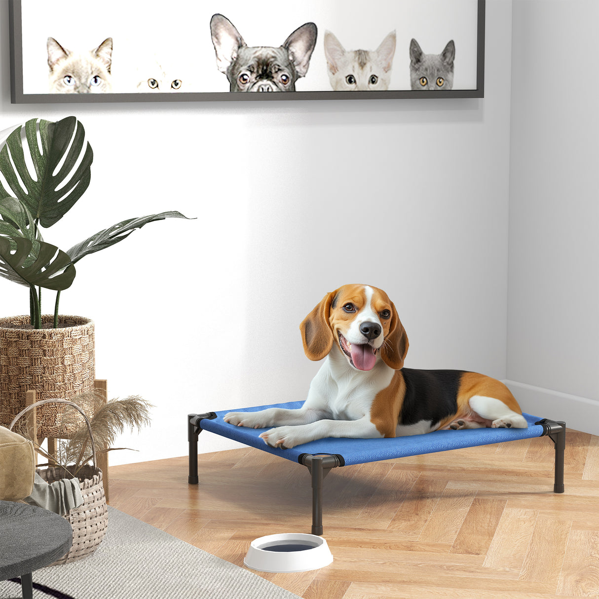 easycomfort easycomfort cuccia lettino per cani rialzato pieghevole per interno ed esterno in metallo e tessuto oxford 76x61x18 cm blu