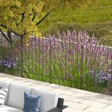 easycomfort easycomfort recinzione esterna a 4 pannelli i acciaio nero con 8 picchetti da terra 348x110 cm