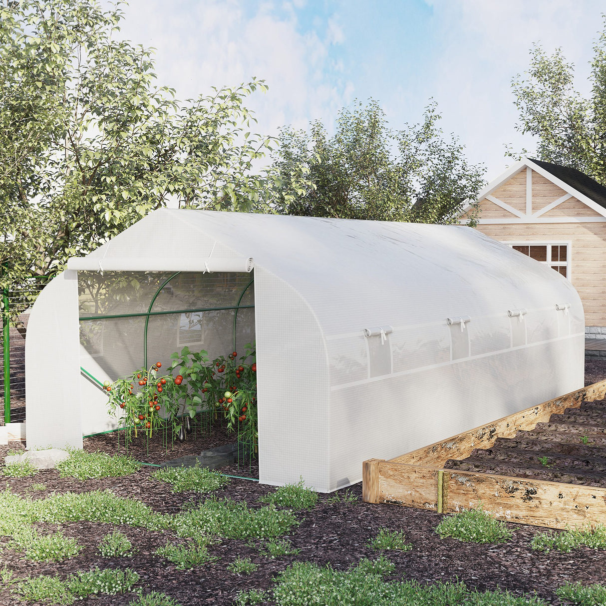 easycomfort easycomfort serra per orto 6x3x2m con 8 finestre e porta avvolgibile in acciaio e pp verde