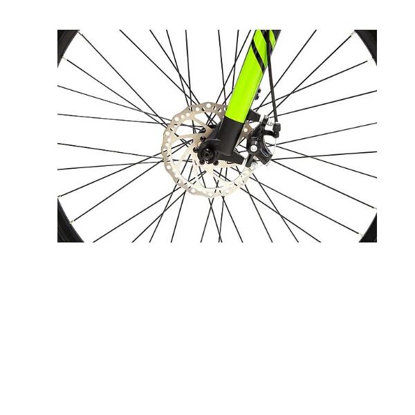 argento bicicletta elettrica argento e bike performance 250w 36v neroverde ar bi 220002 ean 8052679455973
