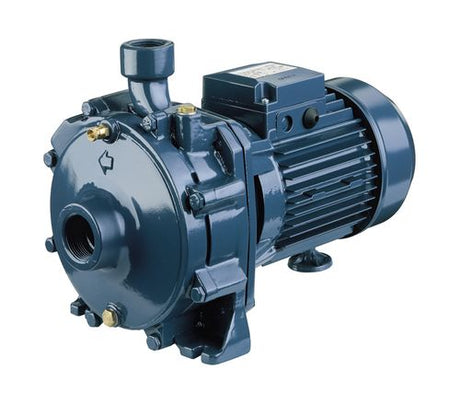 immagine-1-ebara-elettropompa-ebara-centrifuga-bigirante-con-corpo-in-ghisa-monofase-cdaa-200-m-1210200000a