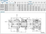 immagine-3-ebara-elettropompa-autodescante-in-ghisa-ebara-modello-aga-m-2-00-motore-monofase-2-0
