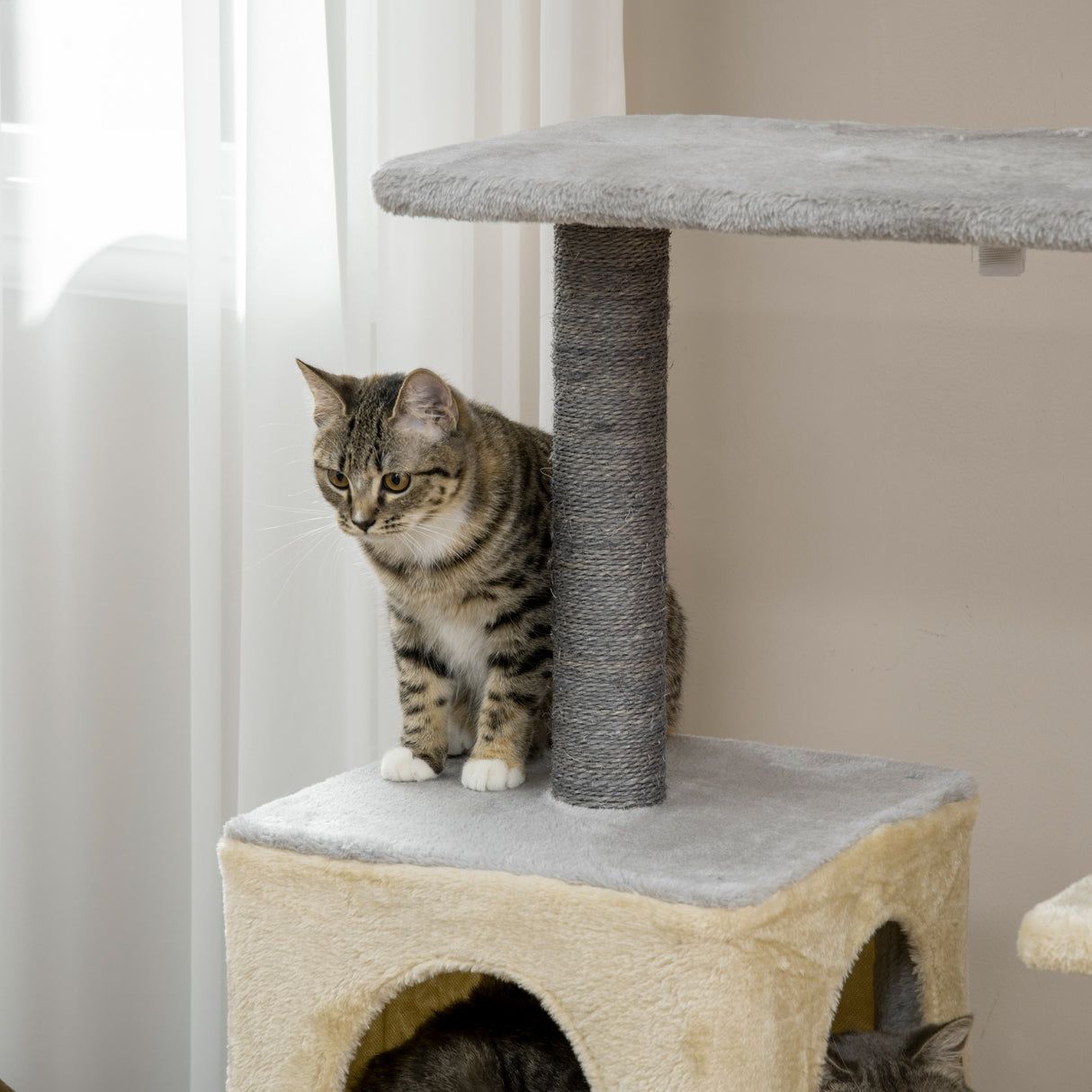 immagine-8-easycomfort-easycomfort-tiragraffi-per-gatti-alto-156cm-con-lettino-casetta-e-pali-tiragraffi-in-sisal